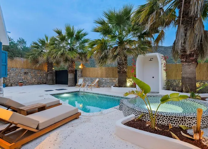 1 Bedroom Luxury In Villa Fethiye