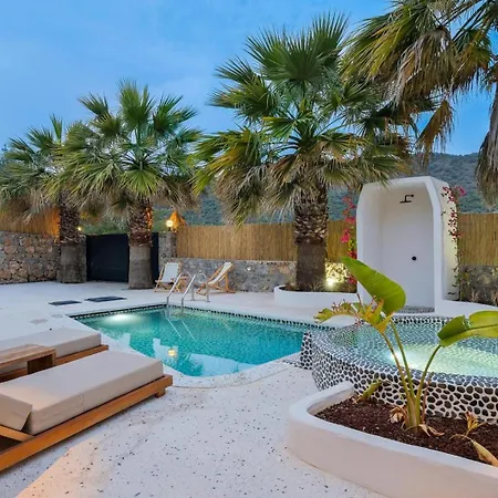 1 Bedroom Luxury In Villa Fethiye